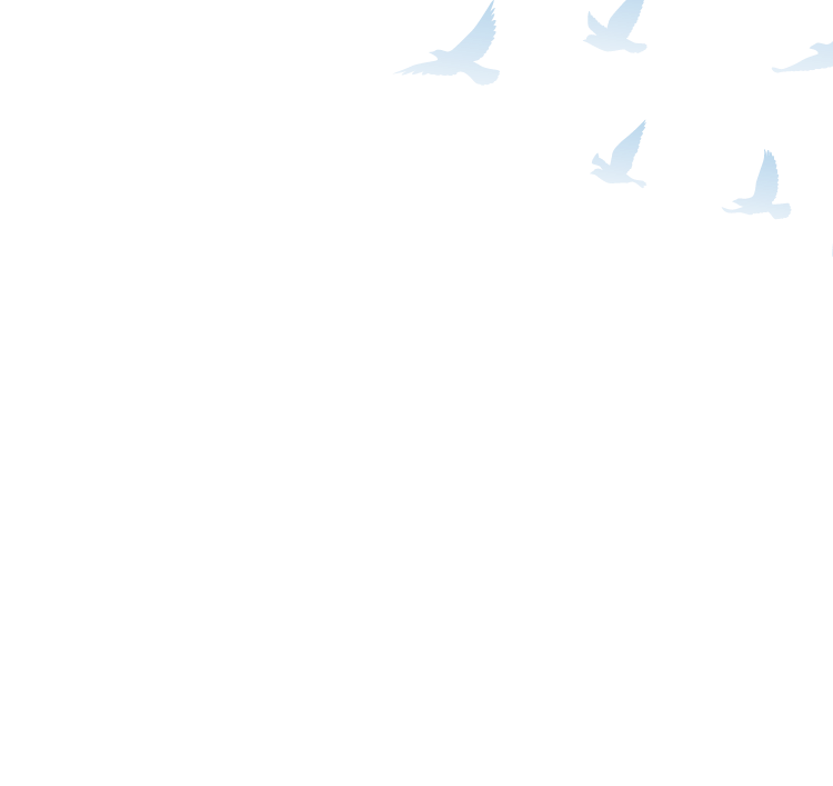 about_sec1_bg_sp