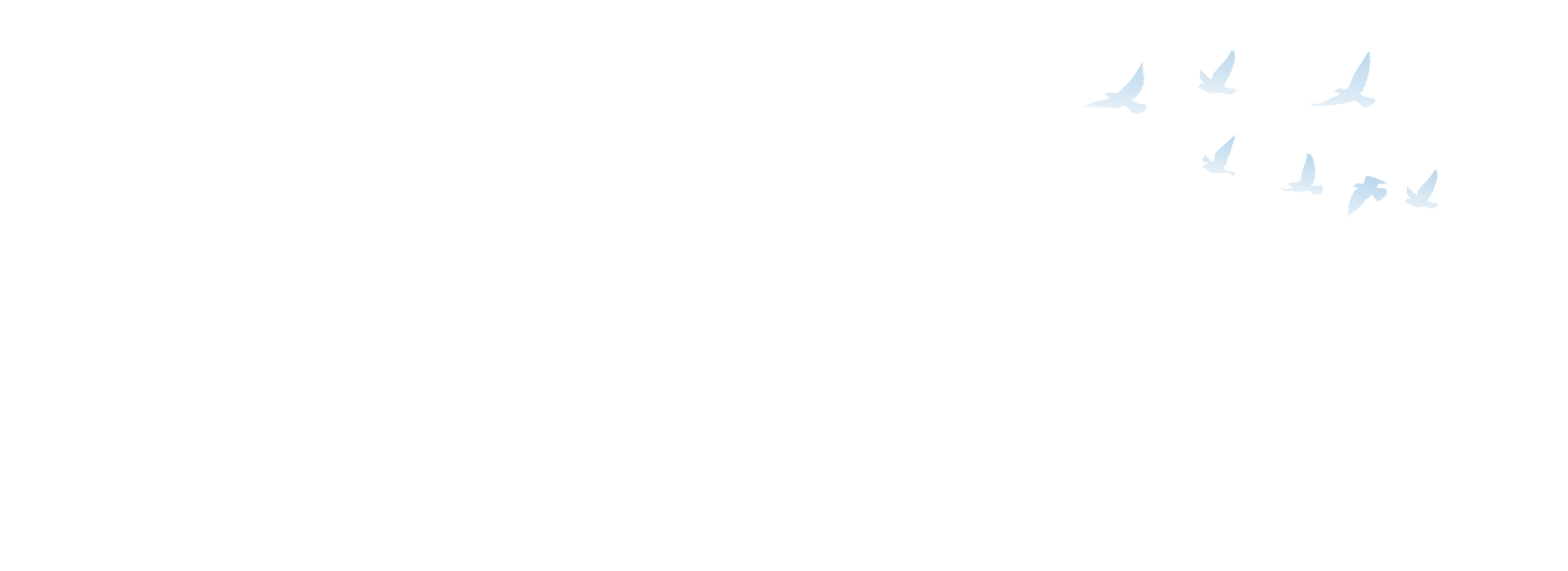 about_sec1_bg